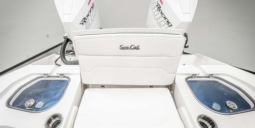 Sea Ray cat 26