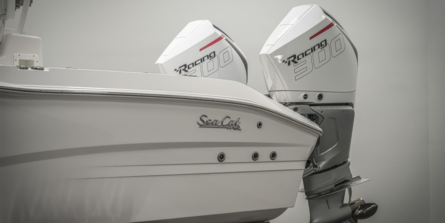 Sea Ray cat 26