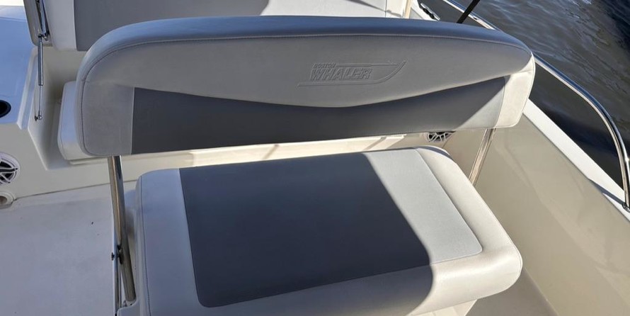 Boston Whaler 210 Dauntless