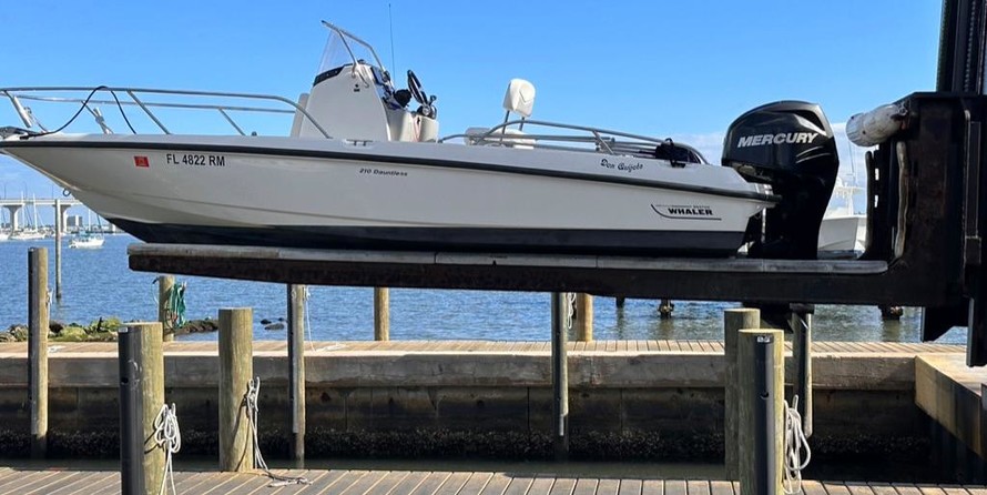 Boston Whaler 210 Dauntless
