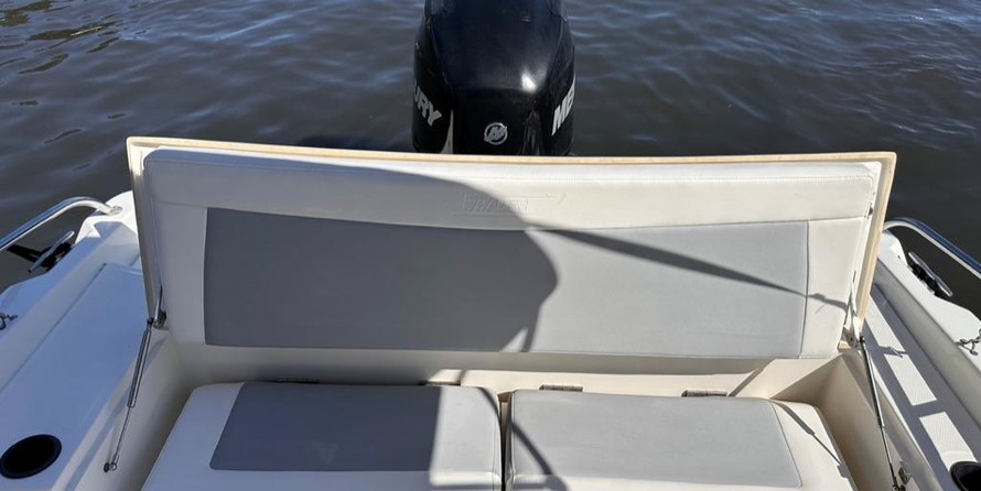 Boston Whaler 210 Dauntless