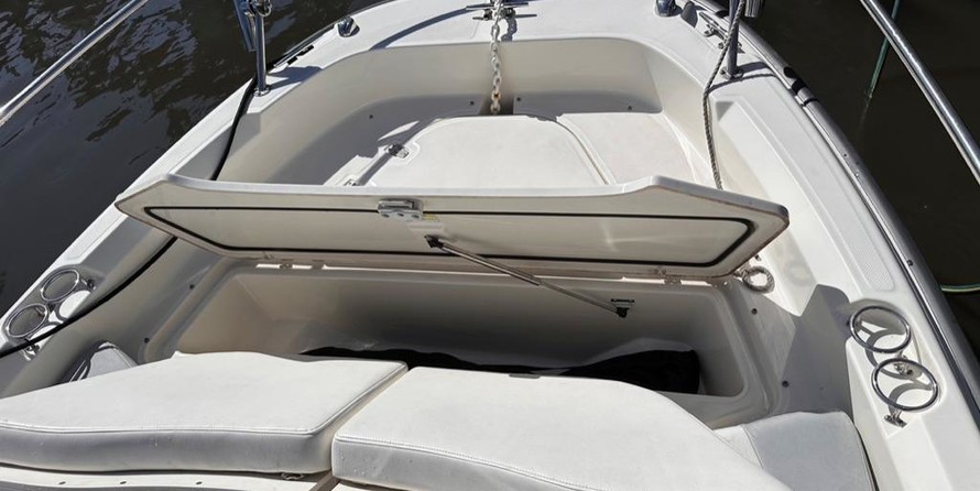 Boston Whaler 210 Dauntless