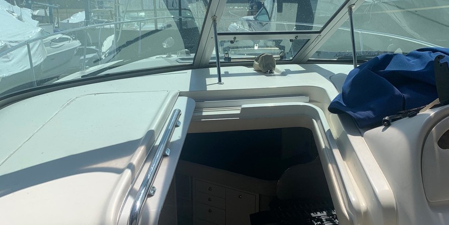 Sea Ray 310 Sundancer