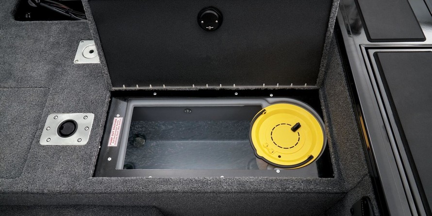 Tracker Targa V-19 WT