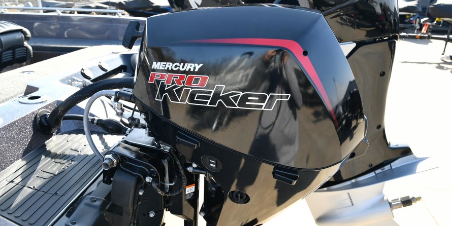 Everglades 230 cc w/ 250 verado