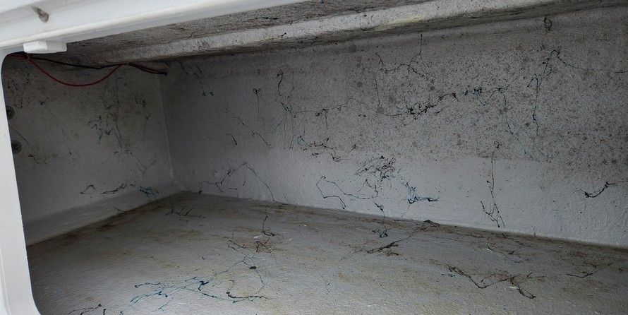 South bay south bay 25