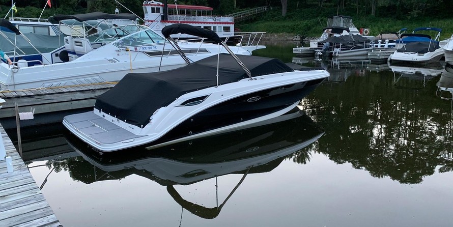 Sea Ray SDX 250