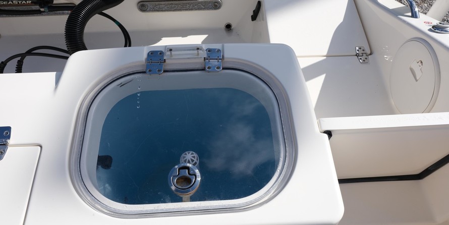 Cobia 217 center console