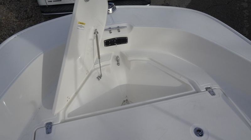 Boston Whaler 170 Montauk
