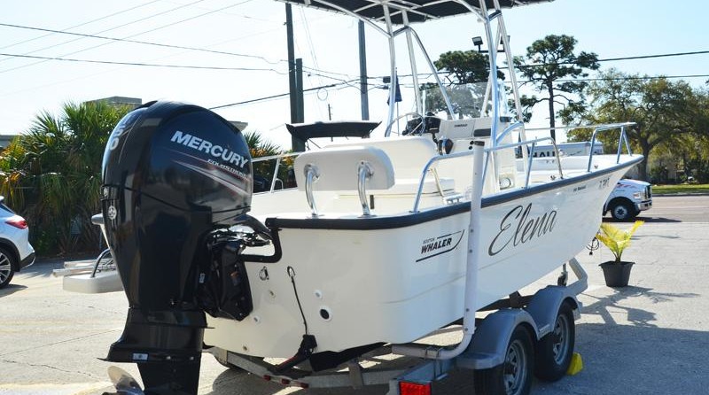 Boston Whaler 190 Montauk