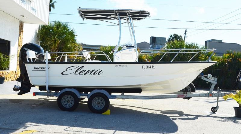 Boston Whaler 190 Montauk