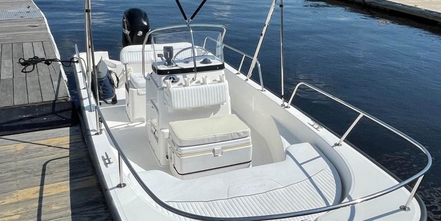 Boston Whaler 170 Montauk