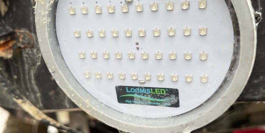 Grady-White Marlin 300