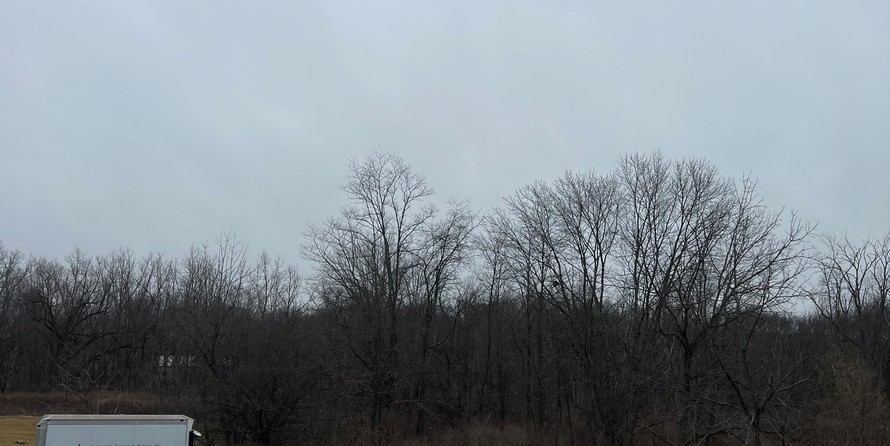 Grady-White Marlin 300