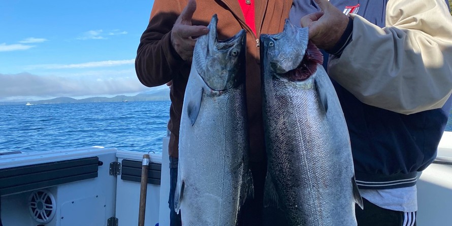 KingFisher 3425 Offshore