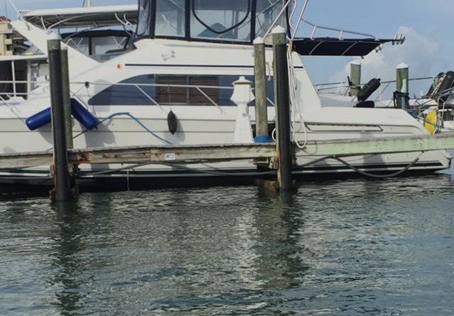 Legacy 40 sedan bridge