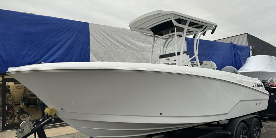 Wellcraft 242 Fisherman