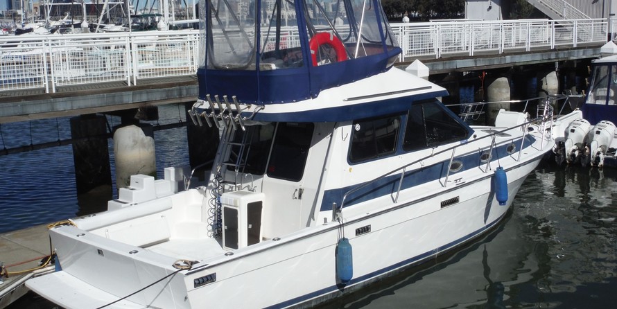 Mediterranean 38 Sport Fisher