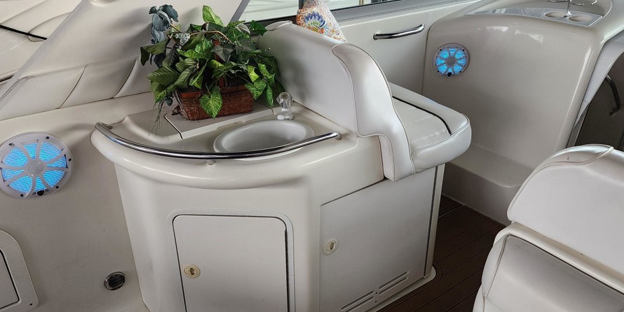 Sea ray sundancer