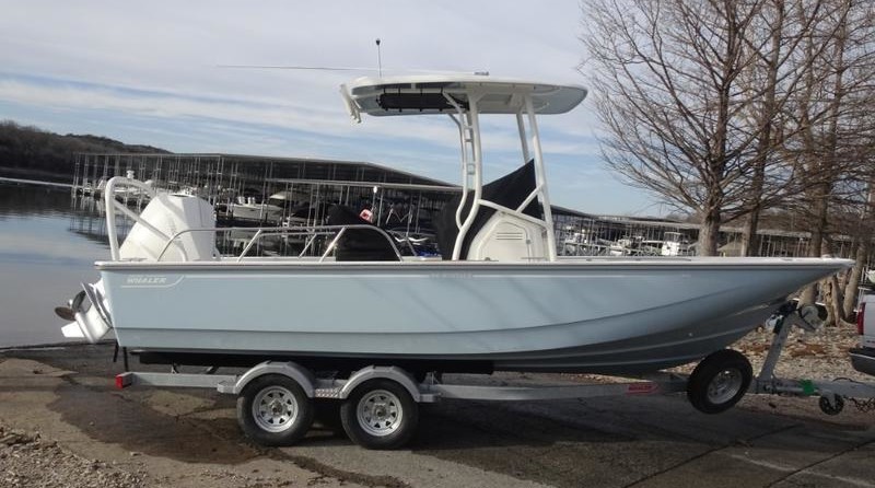 Boston Whaler 210 Montauk
