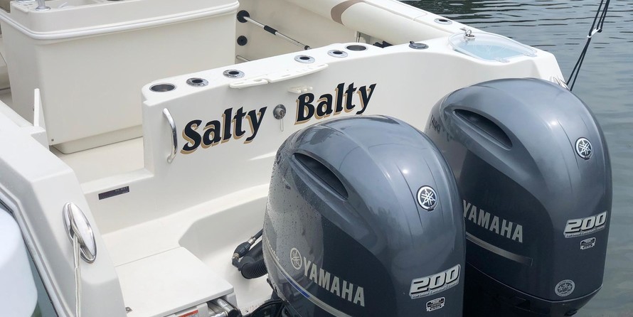 Sailfish 270 CC