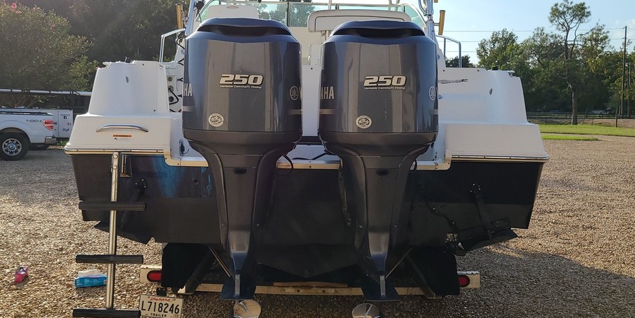 Wellcraft 290 Coastal