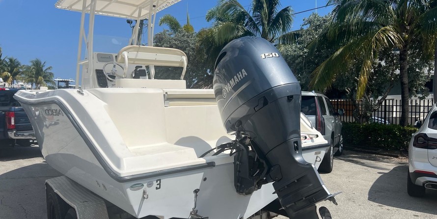 Sea Ray pro 220 walkaround