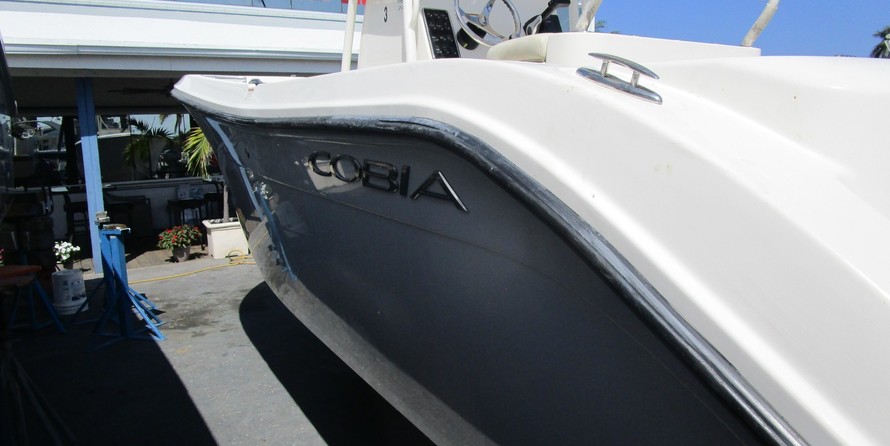 Sea Ray pro 220 walkaround