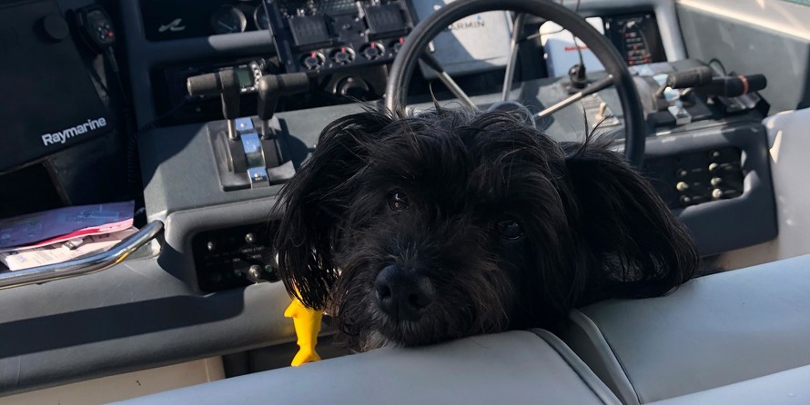 Sea Ray 370 Sundancer