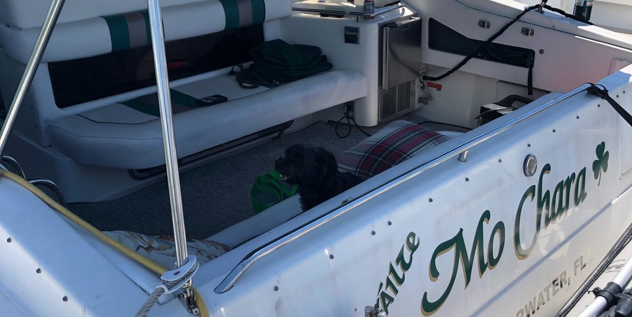 Sea Ray 370 Sundancer