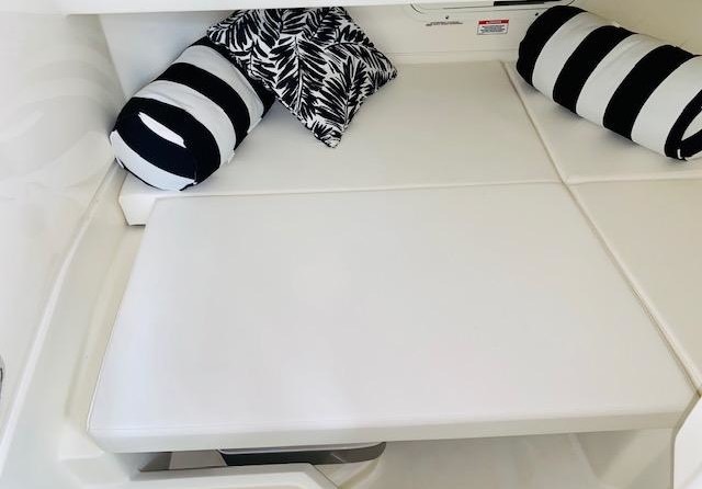 Sea Ray SDX 250 OB