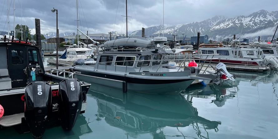 KingFisher 3025 Offshore