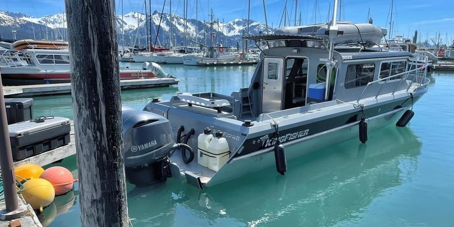 KingFisher 3025 Offshore