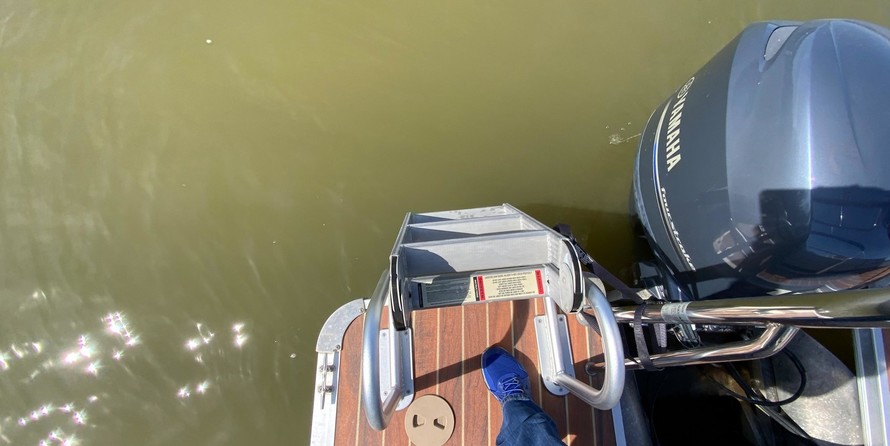 South bay south bay 25