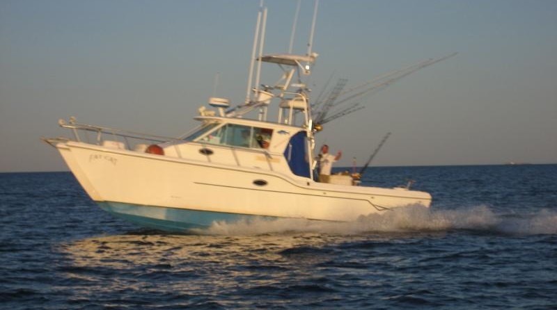 Baha cruisers 296 king cat