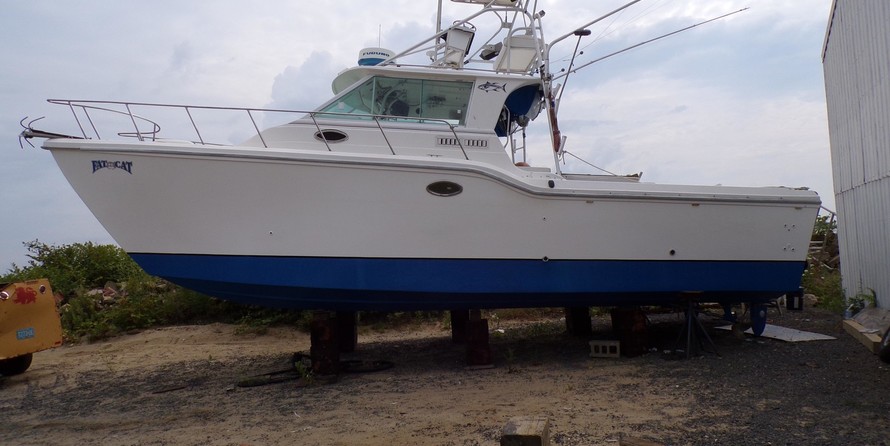 Baha cruisers 296 king cat