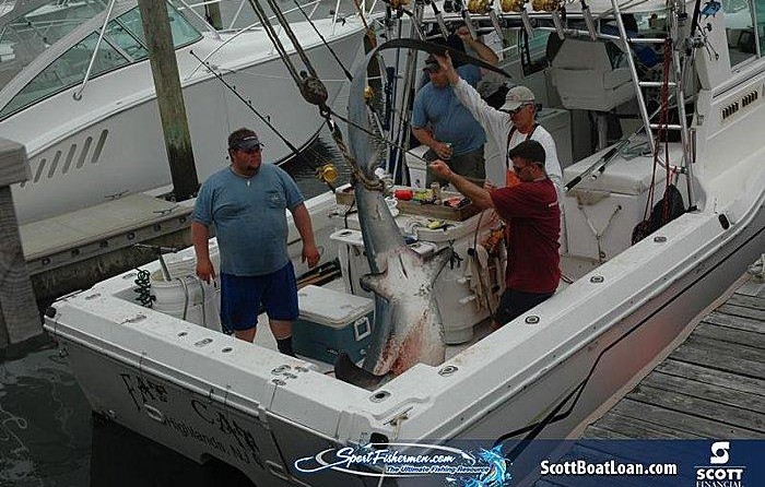 Baha cruisers 296 king cat