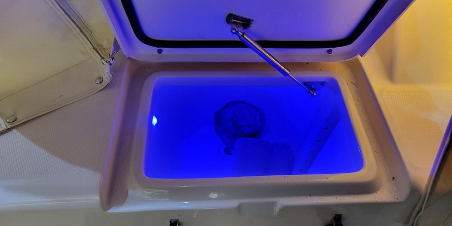 Grady-White Express 330