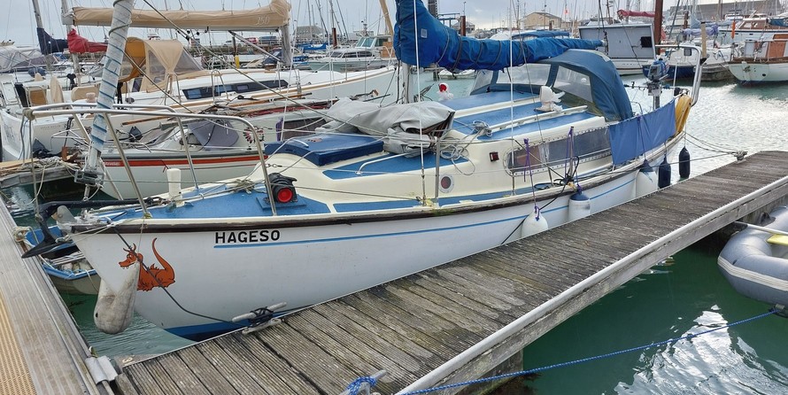 Snapdragon 26 (lowered)