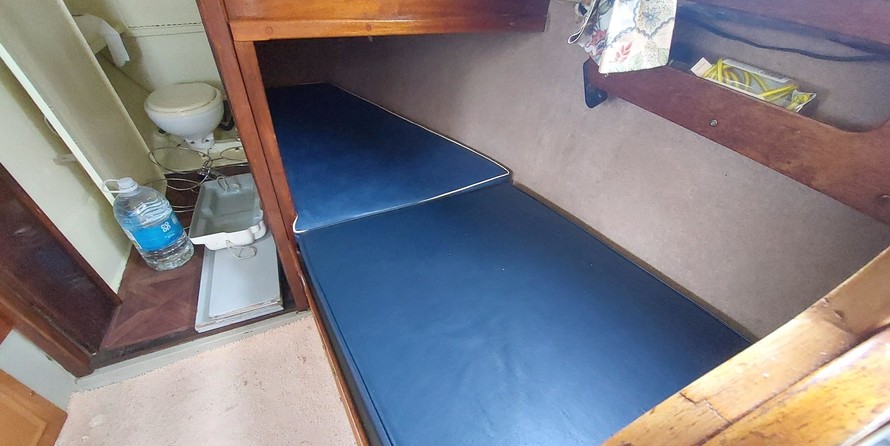 Snapdragon 26 (lowered)