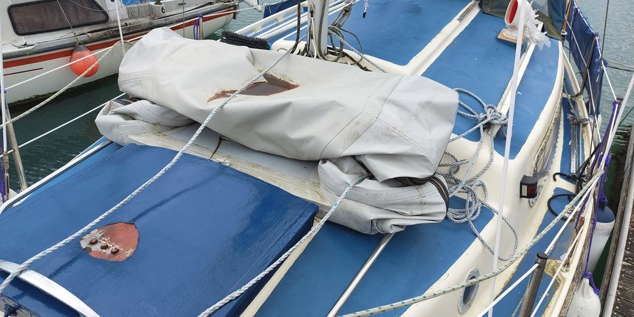 Snapdragon 26 (lowered)