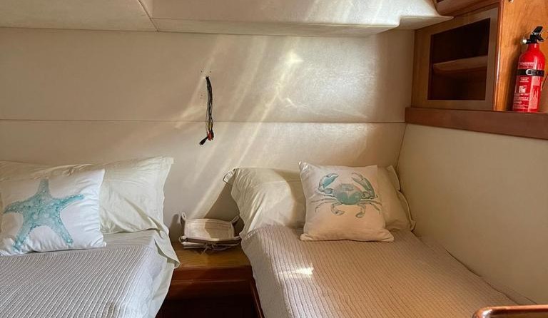 Bruno abbate primatist 46