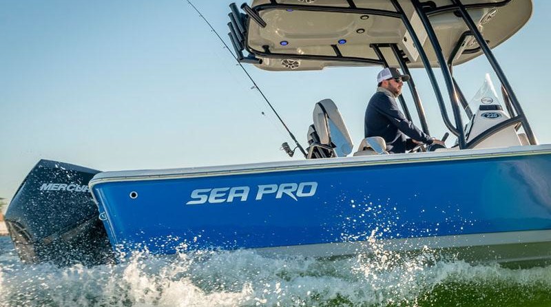 Sea Ray pro 208 bay