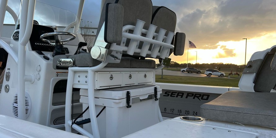 Sea Ray pro 208 bay
