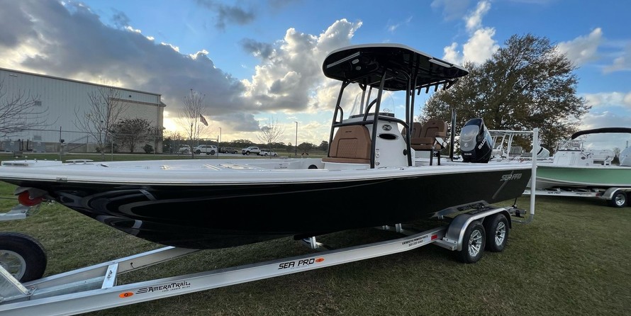 Sea Ray pro 208 bay