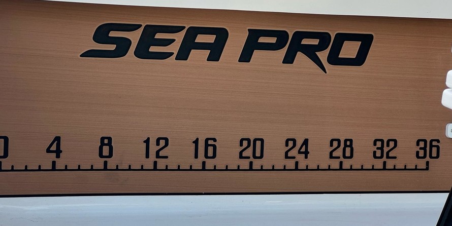 Sea Ray pro 208 bay