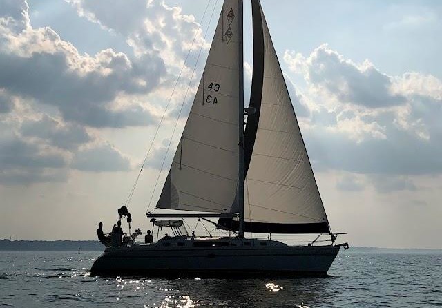 Catalina 375