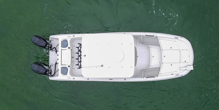 Sea Ray cat 26