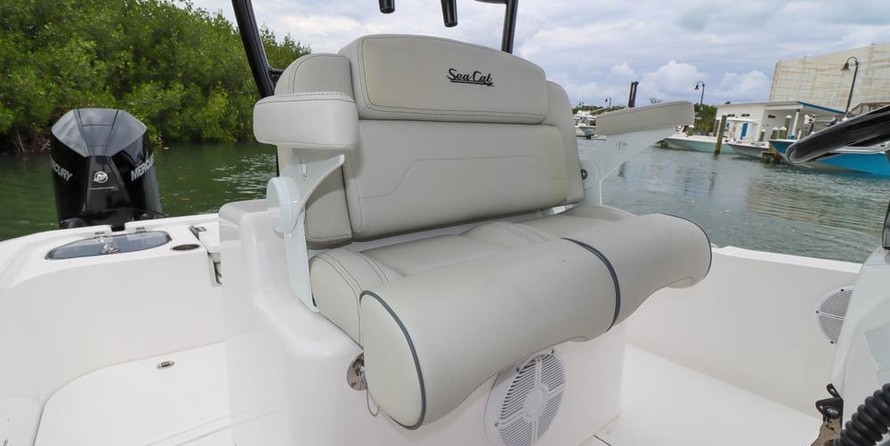Sea Ray cat 26
