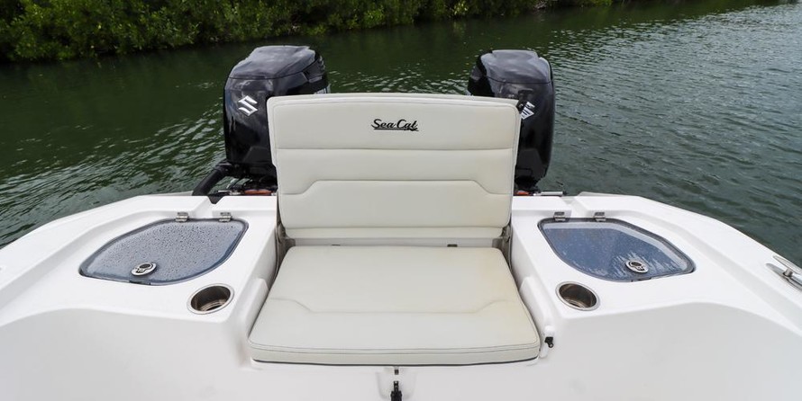 Sea Ray cat 26